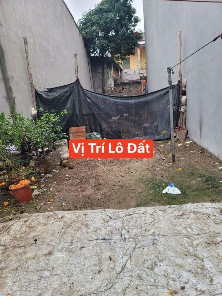 Bán Đất Ngõ Phố Trần Khát Chân, Ph Thanh Bình, Tp Hd, 74.1M2, Mt 4.15M, Hướng Nam, Ngõ Ô Tô - 635473