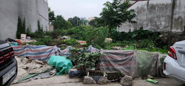 Bán Đất Kinh Doanh Khu Tân Kim, Phường Tân Bình, Tp Hd, 183.3M2, Mt 6.57M, Đường Thông, Giá Tốt - 635635