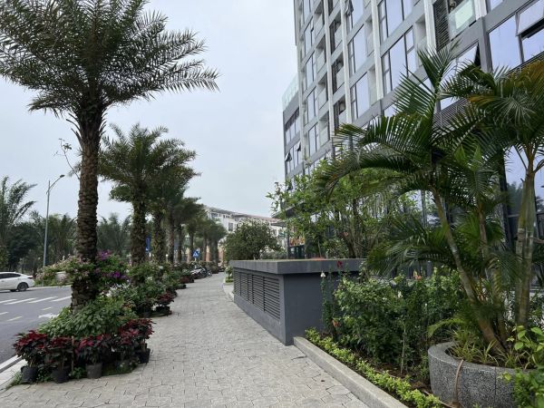 Cho Thuê Căn Shop House Tầng Đế Tòa H2 Ecopark Hải Dương, 52.5M2, Vị Trí Kinh Doanh Đẹp, Giá Tốt - 635668