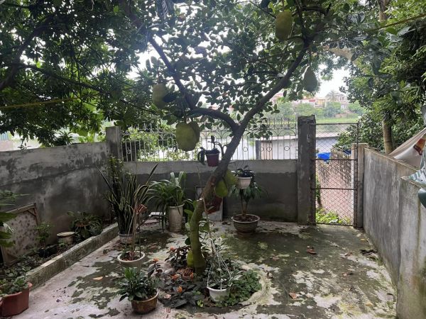Bán Nhà Mặt Phố Phường Tân Bình, Tp Hd, 2 Tầng, 82.7M2, Mt 4.43M, 2 Ngủ, 2 Vs, Chỉ 3.X Tỷ - 637642