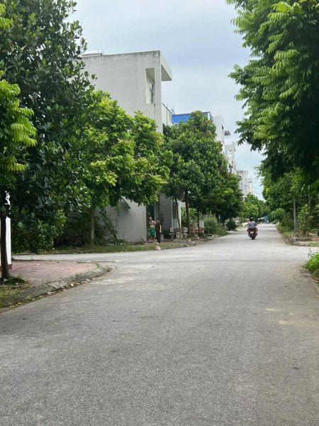 Bán Đất Phố Bạch Công Liêu, Tđc Ngọc Châu, Tp Hd, 73M2, Mt 5M, Hướng Đông, Giá Tốt - 637690