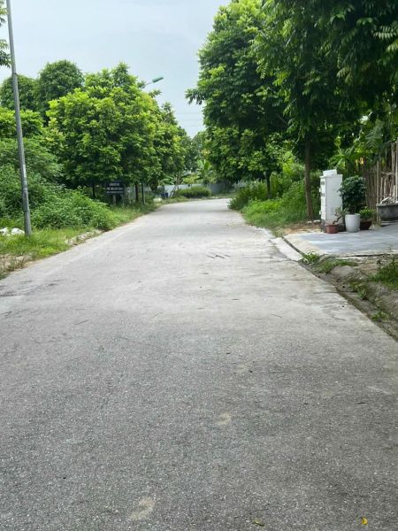 Bán Đất Phố Bạch Công Liêu, Tđc Ngọc Châu, Tp Hd, 73M2, Mt 5M, Hướng Đông, Giá Tốt - 637693