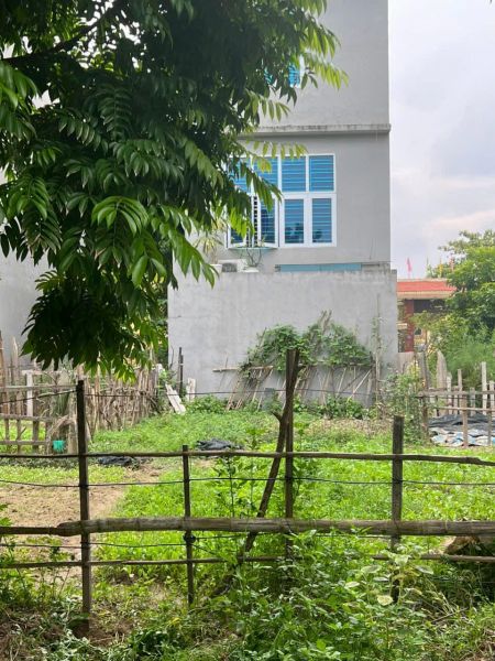 Bán Đất Phố Bạch Công Liêu, Tđc Ngọc Châu, Tp Hd, 73M2, Mt 5M, Hướng Đông, Giá Tốt - 637696