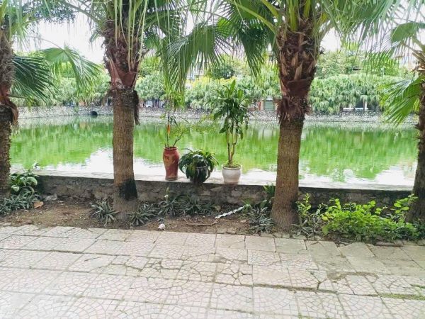 Bán Nhà Mặt Ngõ Oto Phố Quang Trung, Tp Hd, 81.7M2, 2 Tầng, 3 Ngủ, 2 Vs, View Hồ, 3.59 Tỷ - 637783