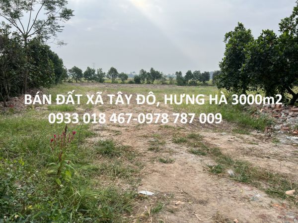 Bán Đất Thị Trấn Hưng Hà, Thái Bình 3000M2-6Tr/M2-0933 018 467-0978 787 009 - 638080