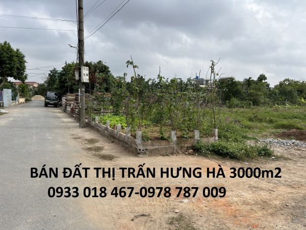 Bán Đất Xã Tây Đô, Hưng Hà, Thái Bình Trục Huyện 3000M2-2Tr/M2-0933018467-0978787009 - 638119