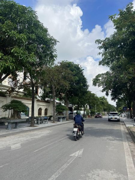 Bán Đất Biệt Thự Mặt Đường Trần Nguyên Đán, Tp Hải Dương, 250M2, Mt 12.5M, Đường To - 638584
