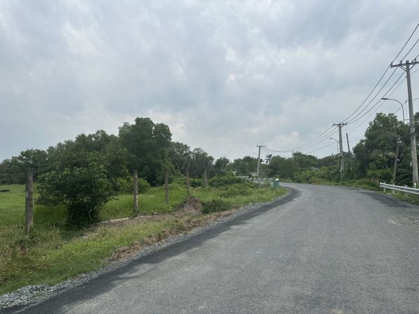 Bán Đất Đường Hưng Long - Quy Đức, Bình Chánh ( 1,5Ha ) - 638719
