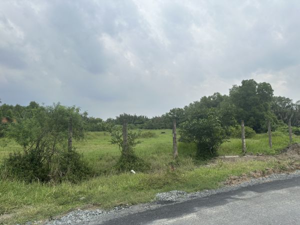 Bán Đất Đường Hưng Long - Quy Đức, Bình Chánh ( 1,5Ha ) - 638722