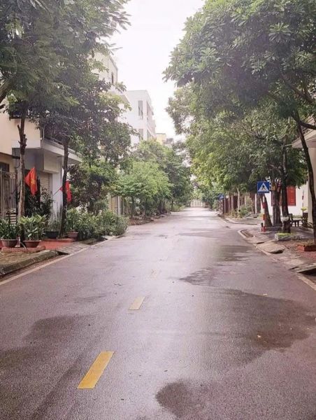 Bán Đất Mặt Đường 13.5M Kđt Vạn Phúc, Ph Thanh Bình, Tp Hd, 80M2, Mt 4M, Hướng Đông - 639124