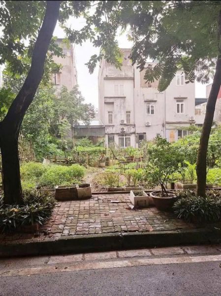 Bán Đất Mặt Đường 13.5M Kđt Vạn Phúc, Ph Thanh Bình, Tp Hd, 80M2, Mt 4M, Hướng Đông - 639127