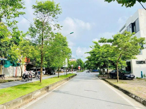 Bán Lô Đất Nhà Vườn Mặt Đường Đôi Nguyễn Cao, Kđt Tuệ Tĩnh, Tp Hd, 128M2, Mt 8M, Giá Tốt - 639430