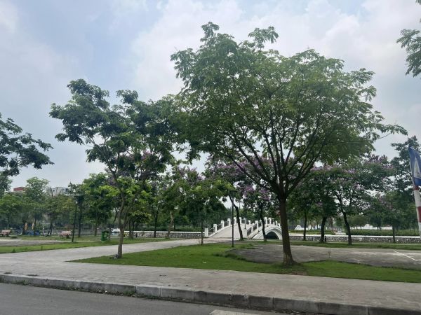 Bán Đất Mặt Phố Nguyễn Bỉnh Khiêm, Đông Nam Cường, Tp Hd, View Công Viên 68M2, Mt 4M - 639769