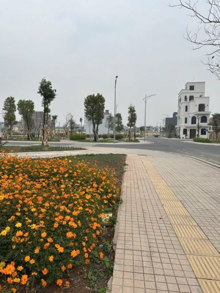 Bán Đất Kdc Ngọc Châu Đồng Triều, Ph Ngọc Châu, Tp Hd, 72M2, Mt 4.5M, View Bãi Đỗ Xe - 640189