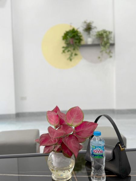 Bán Nhà 3 Tầng Ngõ 20 Đường Ngô Quyền, Ph Thanh Bình, Tp Hd, 51M2, 3 Ngủ, 3 Vs, 2.8X Tỷ - 640621