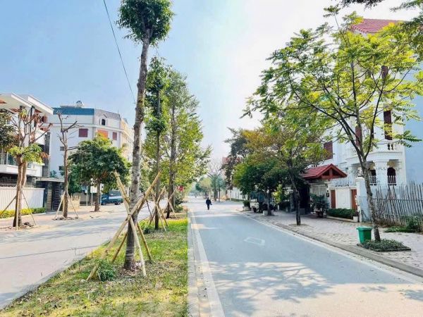 Bán Lô Đất Nhà Vườn Đường Đôi Nguyễn Cao, Kđt Tuệ Tĩnh, Tp Hd, 150M2, Mt 8M, 9.X Tỷ - 641044