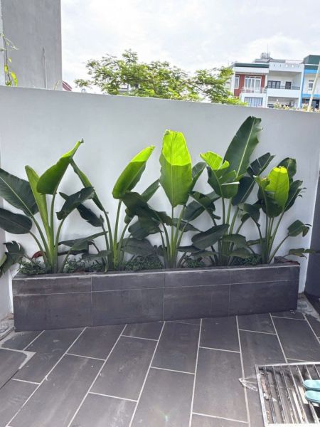 Bán Nhà 3 Tầng Ngõ Đường Nguyễn Lương Bằng, Tp Hd, 43.8M2, Mt 7.2M, 3 Ngủ, 2Vs, 2.28 Tỷ - 641125