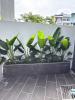 Bán Nhà 3 Tầng Ngõ Đường Nguyễn Lương Bằng, Tp Hd, 43.8M2, Mt 7.2M, 3 Ngủ, 2Vs, 2.28 Tỷ - 641125