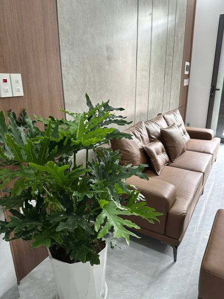 Bán Nhà 3 Tầng Ngõ Phố An Ninh, Ph Quang Trung, Tp Hd, 42.6M2, 3 Ngủ, 2 Vs, 2.3X Tỷ - 641146