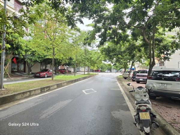 Bán Lô Đất Biệt Thự Mặt Đường Đôi Mai Hắc Đế, Kđt Tuệ Tĩnh, Tây Hp, 195M2, Mt 12M - 641776