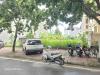 Bán Lô Đất Biệt Thự Mặt Đường Đôi Mai Hắc Đế, Kđt Tuệ Tĩnh, Tây Hp, 195M2, Mt 12M - 641773