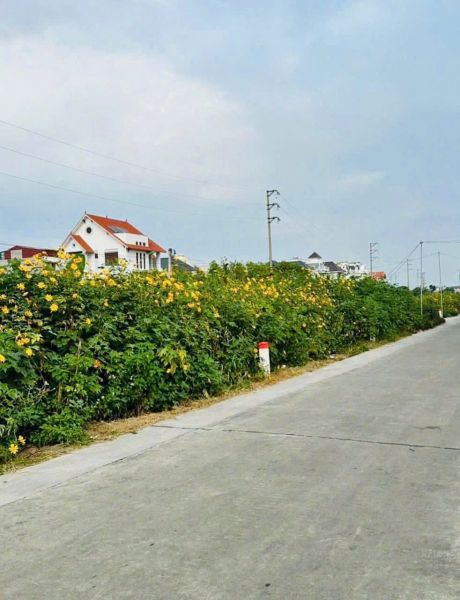 Bán Lô Biệt Thự View Sông Kđt An Phú, Ph Tân Bình, Tp Hải Dương, 257M2, Mt 10M, Giá Tốt - 642235