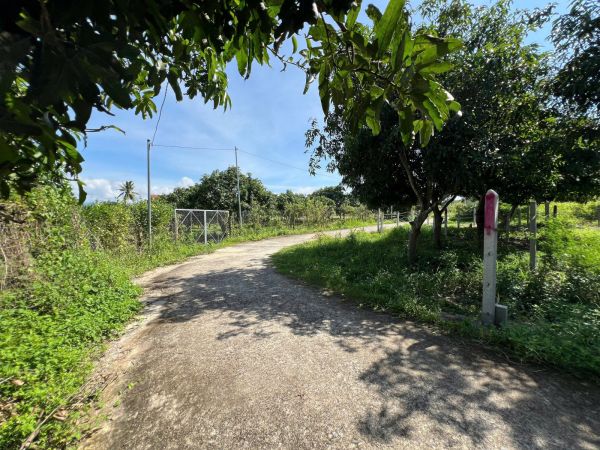 ĐẤT THỔ CƯ SUỐI TIÊN - DIÊN KHÁNH ( NAY LÀ SUỐI HIỆP)  - DT 68M NGANG 5,5M - 642385