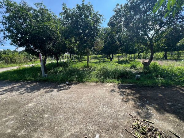 ĐẤT THỔ CƯ SUỐI TIÊN - DIÊN KHÁNH ( NAY LÀ SUỐI HIỆP)  - DT 68M NGANG 5,5M - 642388