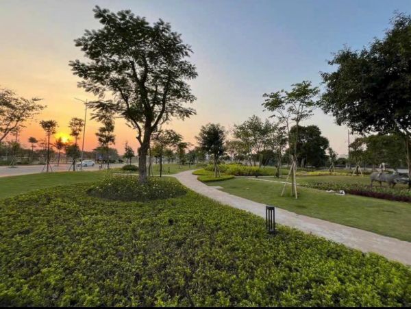 Bán Đất Trục Chính Đường Huyền Quang, Kđt Tân Phú Hưng, Tp Hd, 67.5M2, Mt 4.5M, Giá Tốt - 642607