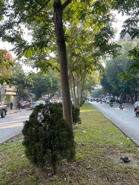 Bán Đất Mặt Đường Đôi Nguyễn Văn Linh, Ph Tân Bình, Tp Hd, 180M2, Mt 9M, Kd Buôn Bán - 643024