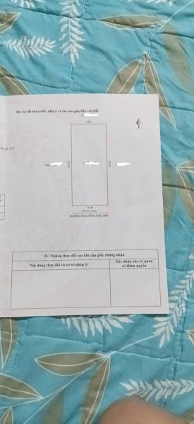 Bán Đất Mặt Đường Đôi Nguyễn Văn Linh, Ph Tân Bình, Tp Hd, 180M2, Mt 9M, Kd Buôn Bán - 643042