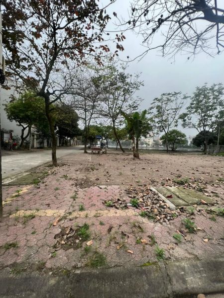 Bán Đất Mặt Phố Trần Quốc Lặc, Ph Quang Trung, Tp Hd, 499M2, Mt 13.7M, Gần Hồ Hòa Bình - 643102