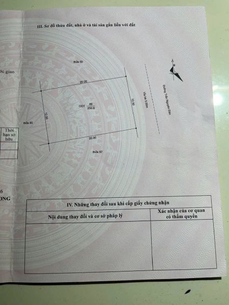 Bán Lô Đất Biệt Thự Mặt Đường Trần Nguyên Đán, Ph Thanh Bình, Tp Hd, 250M2, Mt 12.5M - 643696