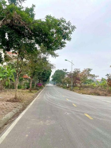 Bán Lô Đất Biệt Thự Mặt Đường Hoàng Văn Cơm, Khu Đỉnh Long, Tp Hd, 183M2, Mt 11M, Giá Tốt - 644158