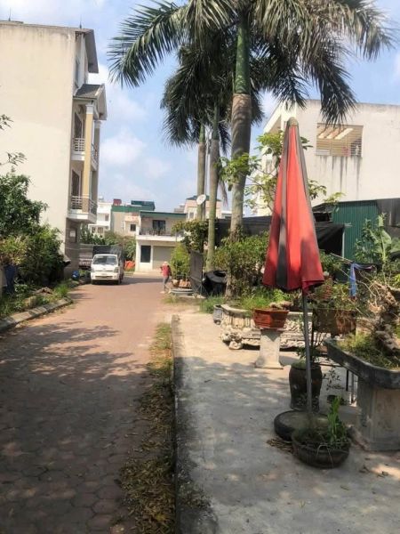 Bán Đất Chợ Hội Đô, Ph Thanh Bình, Tp Hải Dương, 96M2, Mặt Tiền 6M, Giá Chỉ 3.2X Tỷ - 644551